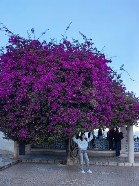 Lisbon: Private Hop on Hop off Sightseeing Tuktuk Tour - Experience Itinerary