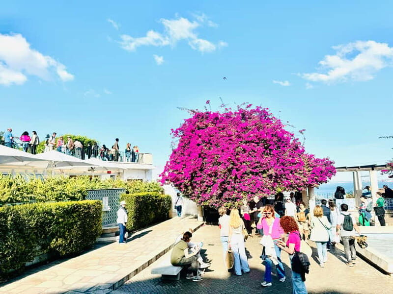 Lisbon: Private Old Town Tuk Tuk Tour - Frequently Asked Questions