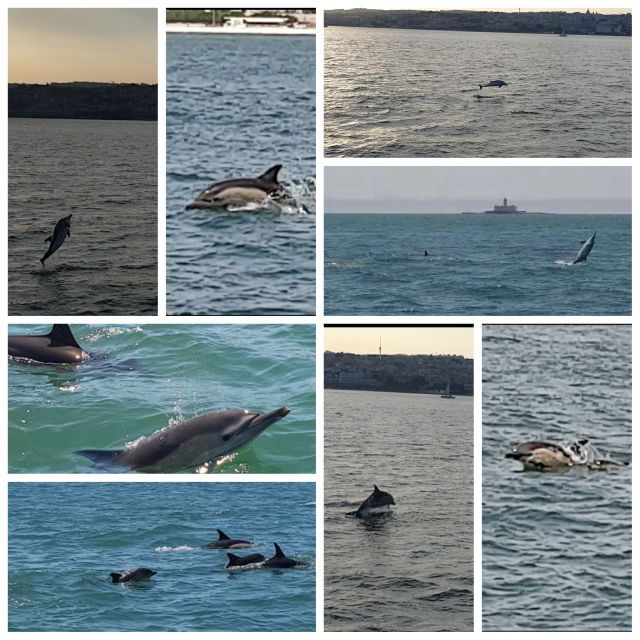 Lisbon: Private Sailing Sightseeing Tour With Locals - Experience Highlights