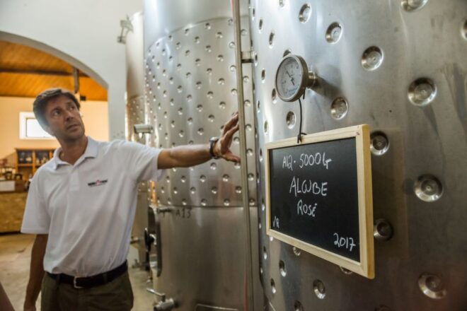 Lisbon Private Setúbal Region Wine Tasting Tour - Pricing and Reservation