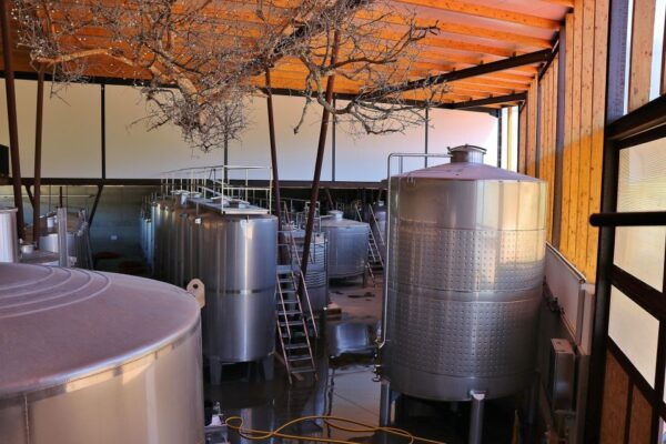 Lisbon Private Setúbal Region Wine Tasting Tour - The Sum Up