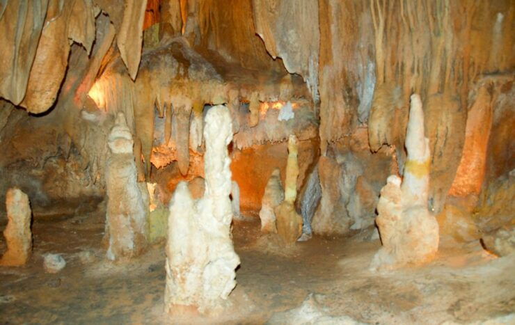 Lisbon: Private Transfer to Porto With Aveiro & Fatima Tour - Activity Details