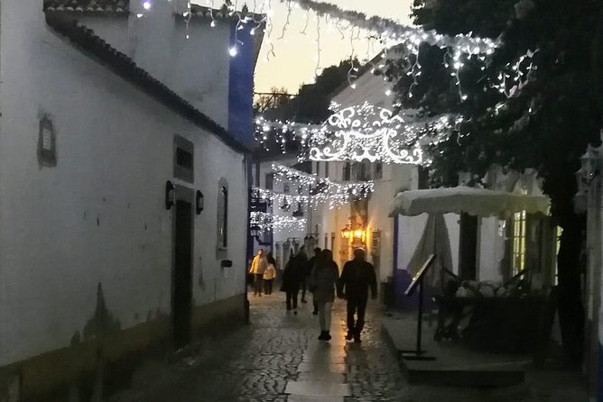 Lisbon Private Transfer to Porto With Sightseeing Stops - Private Guide and Stops