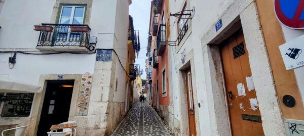 Lisbon: Private Walking Tour - Meeting Point and Recommendation