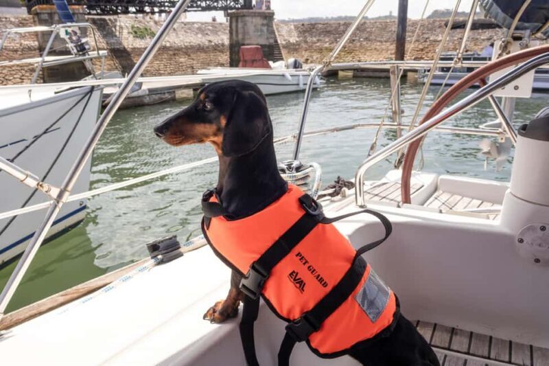 Lisbon: Sailing trip on the Tagus River - An In-Depth Look at the Lisbon Sailing Trip on the Tagus River