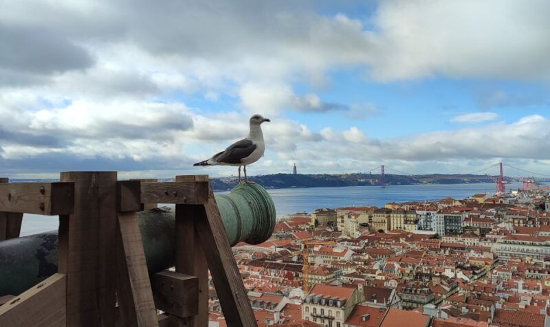 Lisbon: Saint George's Castle Entry Ticket and Guided Visit - Discovering the Heart of Lisbon at Saint George’s Castle
