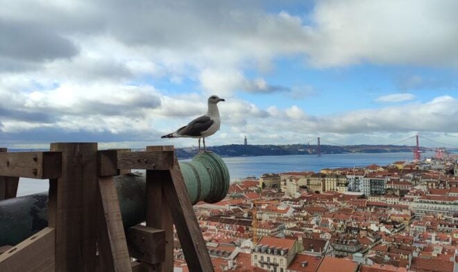 Lisbon: Saint Georges Castle Guided Tour With Entry Ticket - Highlights of the Saint Georges Castle