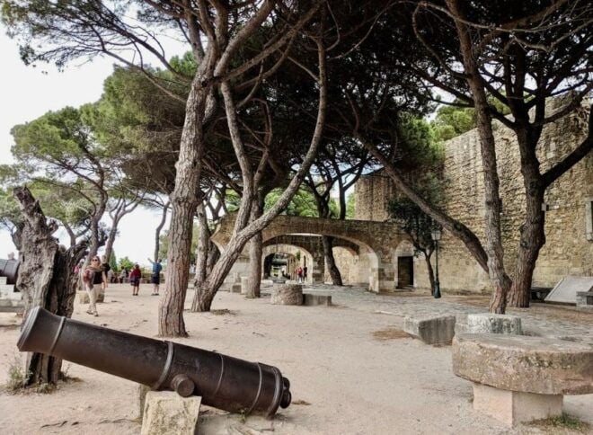 Lisbon: São Jorge Castle Skip-the-line Ticket - Meeting Point and Important Information