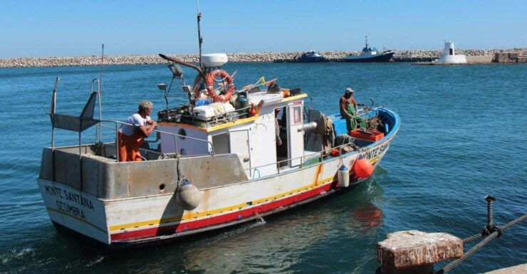 Lisbon: Sesimbra, Arrábida, Setúbal & Palmela - Activity Details