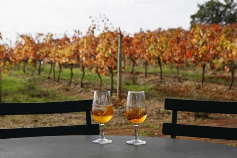 Lisbon: Setúbal, Arrábida and Azeitão Private Wine Tour - The Sum Up