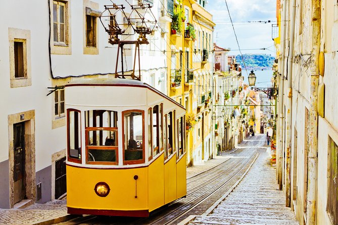 Lisbon Shore Excursion: Private Lisbon Sightseeing Tour - Customer Testimonials