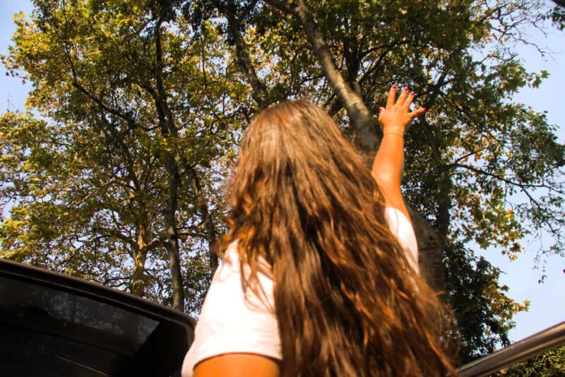 Lisbon: Sintra, Pena Palace, Regaleira, and Cabo da Roca - Good To Know