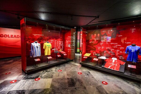 Lisbon: SL Benfica & Celtic FC Exclusive Museum&Stadium Tour - The Sum Up