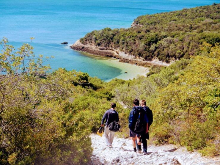 Lisbon: Snorkeling and Wine Tasting in Arrábida - Adventure in Arrábida Natural Park