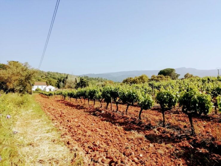 Lisbon: South City Sights and Cultural Tour With Wine - Tour Overview