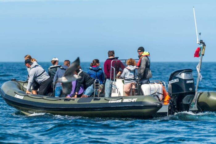 Lisbon: Speedboat Trip to Bugio Lighthouse - FAQ