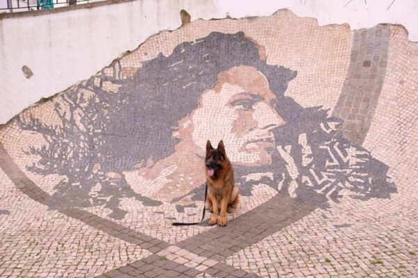 Lisbon: Street Art Private Guided Tour by Tuk-Tuk - The Sum Up