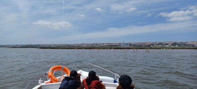 Lisbon: Tagus Estuary Nature Reserve Birdwatching Boat Tour - Tagus Estuary Nature Reserve