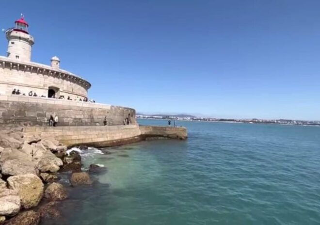 Lisbon: Tagus River Cruise to the Ocean & Dolphin Watching - Booking and Logistics