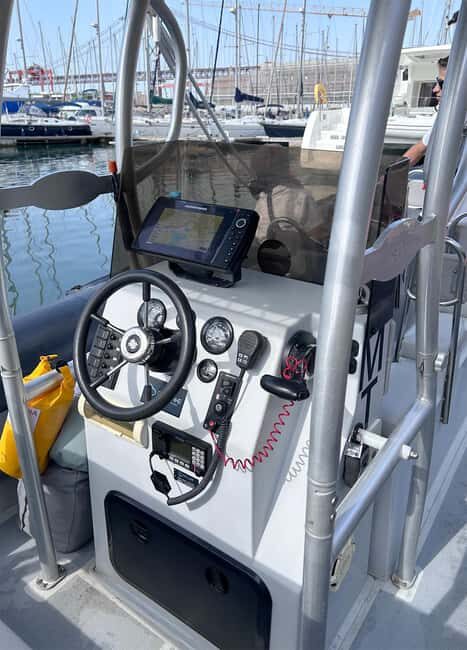 Lisbon: Tagus River Marine Wildlife Speedboating Adventure - Who Will Love This Experience?