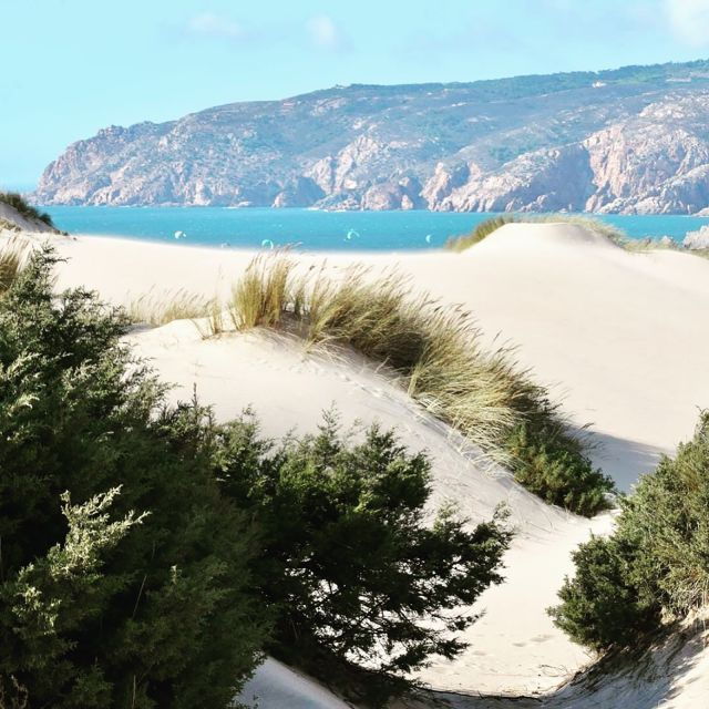 Lisbon: Tailored Tour - Activity Details