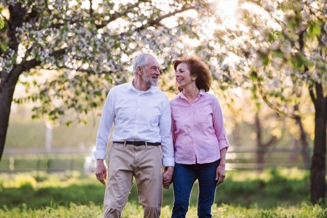 Lisbon to Douro Valley Direct Transfer | Premier Experience - Fleet Options