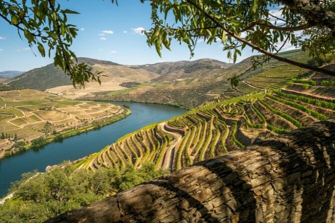 Lisbon to Douro Valley Direct Transfer | Premier Experience - Accessibility Information
