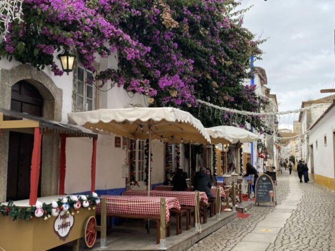 Lisbon to Fátima, Nazaré and Obidos Day Trip - Experience and Inclusions