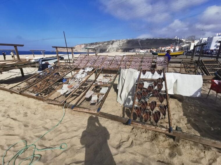 Lisbon to Fatima Nazaré and Óbidos Private Full Day Tour - The Sum Up