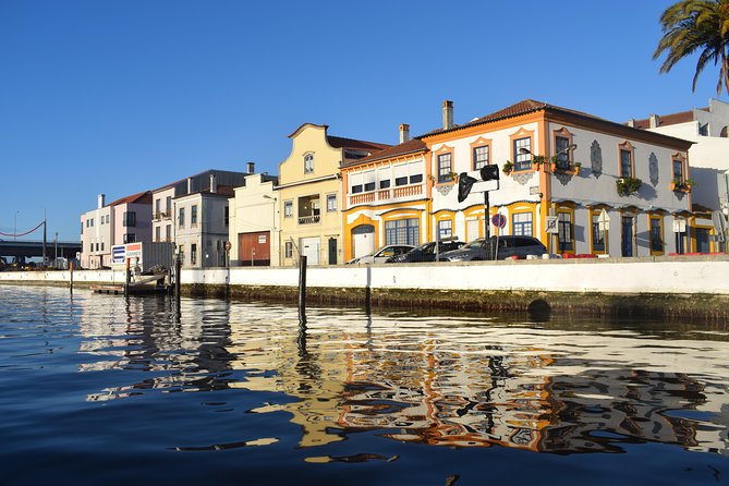 Lisbon to Porto Private Tour Stoping in Coimbra and Aveiro - Tour Highlights