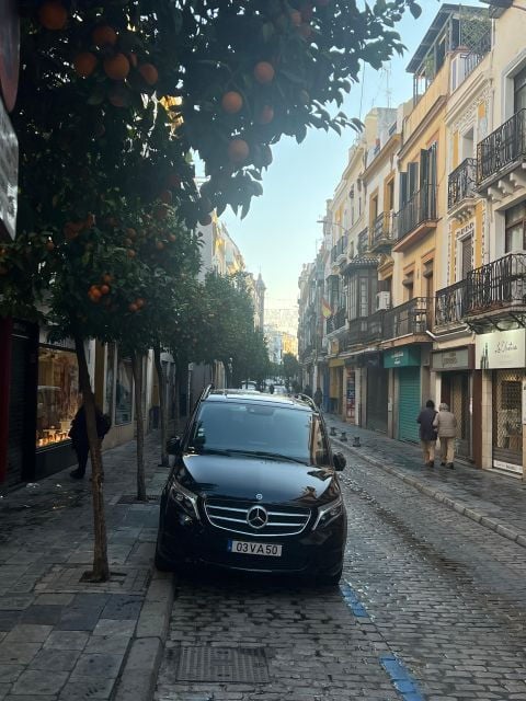 Lisbon to Seville Private Transfer/Tour - Pricing and Duration