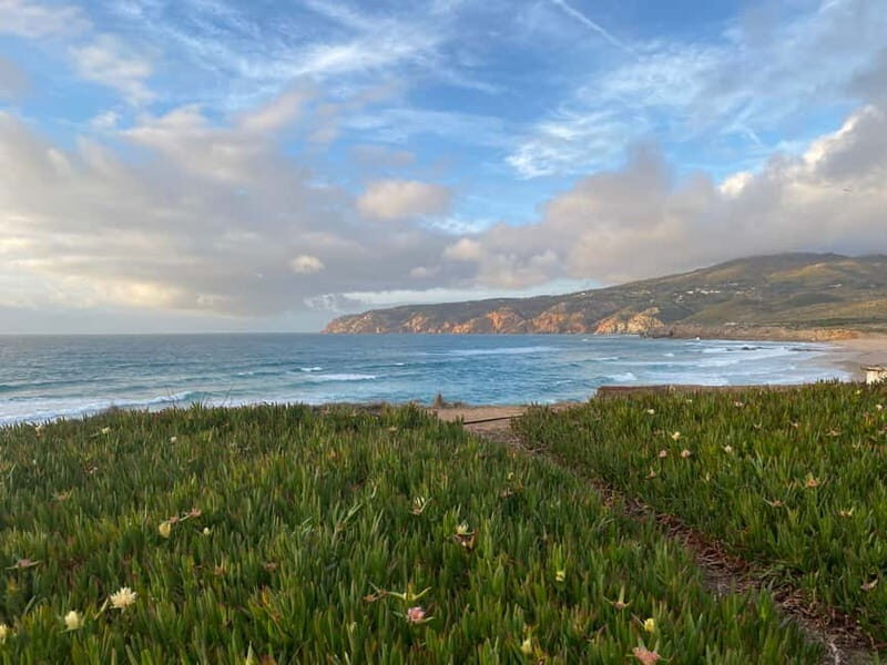 Lisbon to: Sintra, Pena & Regaleira guided 8pax group tour - Good To Know