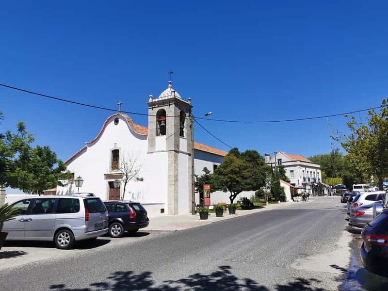 Lisbon to Wine Tasting Setubal, Two Cellars, Half Day Tour - Good To Know