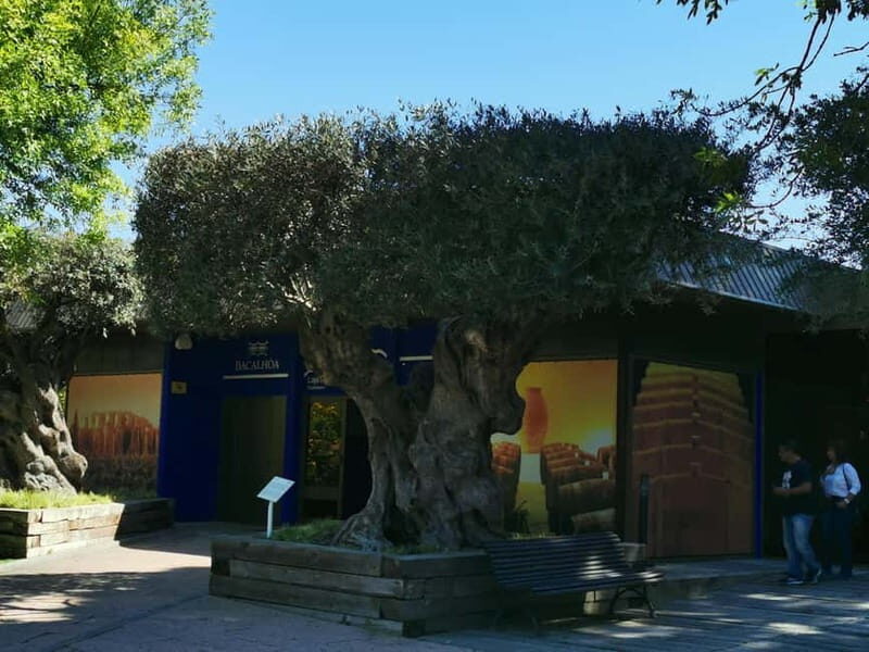 Lisbon to Wine Tasting Setubal, Two Cellars, Half Day Tour - Exploring Quinta da Bacalhoa: A Modern Take with Stunning Vistas