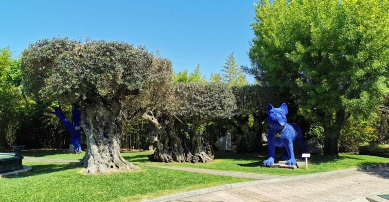 Lisbon to Wine Tasting Setubal, Two Cellars, Half Day Tour - FAQ