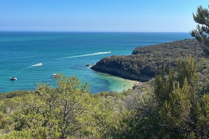 Lisbon Tour to Setúbal, Mountains and Sea, With Wine Tasting - Reviews and Ratings