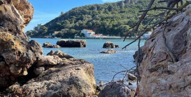 Lisbon Tour to Setúbal, Mountains and Sea, With Wine Tasting - Language Options and Itinerary