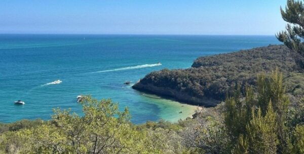 Lisbon Tour to Setúbal, Mountains and Sea, With Wine Tasting - Tour Description and Customer Reviews