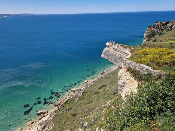 Lisbon: Transfer to Porto With Stops in Óbidos-Nazaré-Aveiro - Experiencing the Cities Charms and History
