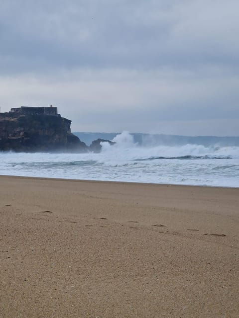 Lisbon: Trip to Porto With Stops in Óbidos-Nazaré-Aveiro - Vehicle and Comfort