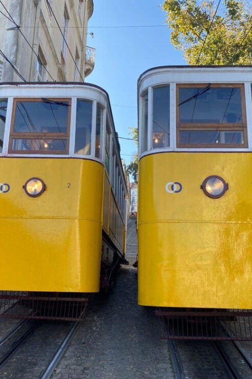 Lisbon: True and Fictional Stories of the Gordo - Good To Know