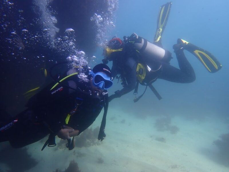 Lisbon: Try Dive in Arrábida Marine Reserve Setubal Sesimbra - Good To Know
