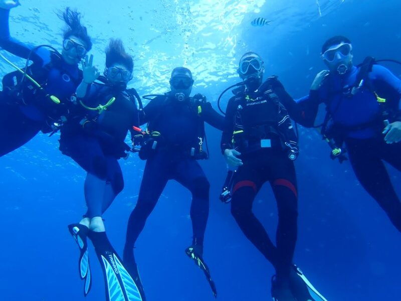 Lisbon: Try Dive in Arrábida Marine Reserve Setubal Sesimbra - Why This Tour Is Worth It