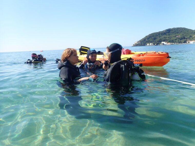 Lisbon: Try Dive in Arrábida Marine Reserve Setubal Sesimbra - Who Will Love This Experience?