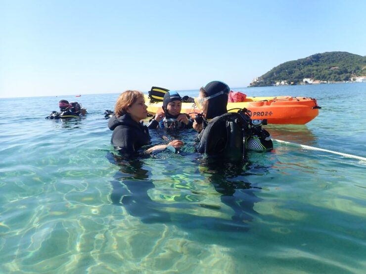 Lisbon: Try Dive in Arrábida Natural Park / Marine Reserve - Booking and Payment Options