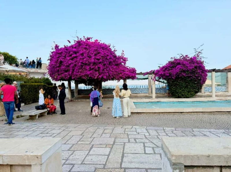 Lisbon: Tuk-Tuk Tour Historical Alfama old town private tour - The Experience’s Highlights and Limitations