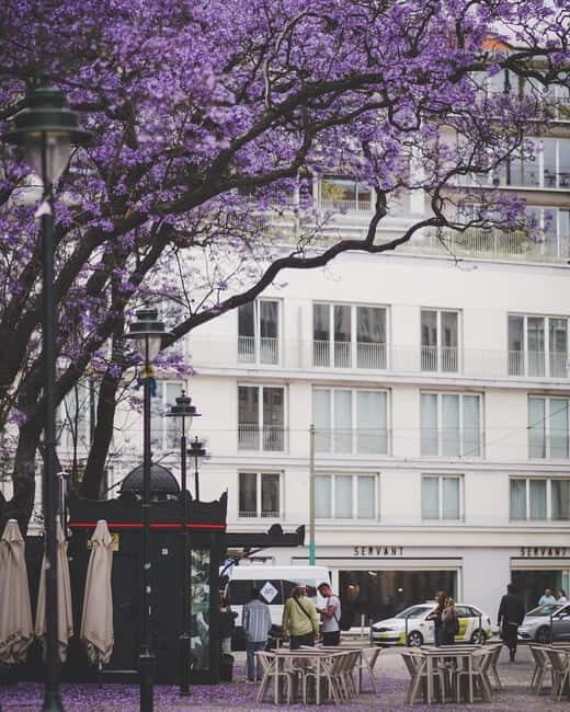 Lisbon: Tuk Tuk Tour of Belém Historic Area - The Sum Up