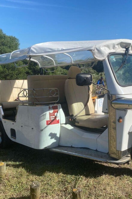 Lisbon: Tuk Tuk Tour With Wine and Tapas Tasting - Booking Information