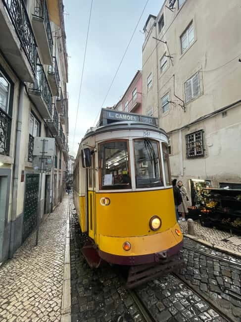 Lisbon: Walking Tour with Historic Tram 28 Ride & Tastings - Good To Know
