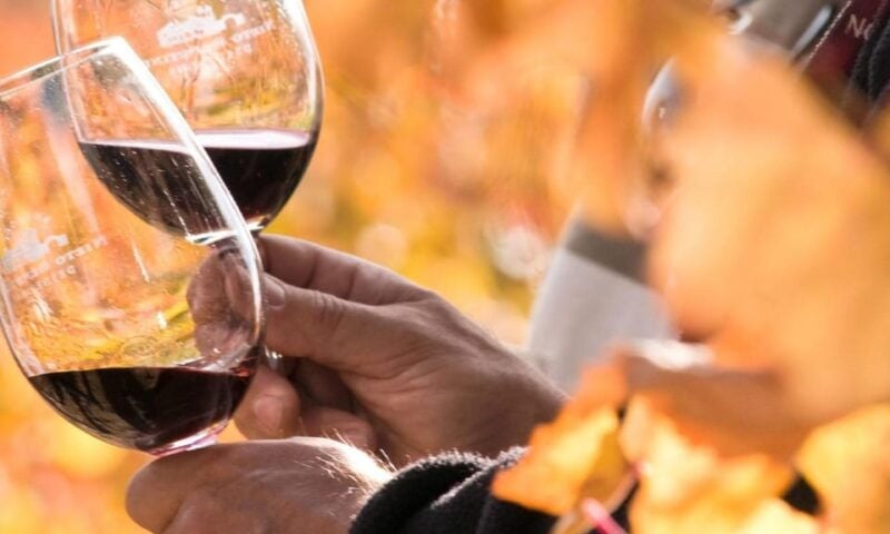Lisbon Wine Tasting - A Closer Look at What to Expect in Lisbon’s Wine Tasting Tour